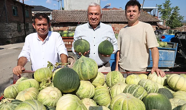 Bursa Nilüfer'de Konaklı kavununun üretimi iki kat arttı
