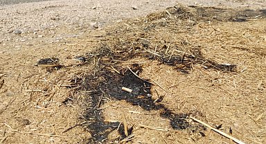 Bursa Yenişehir'de orman yangını son anda önledi