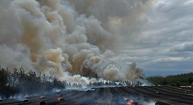 Bursa Yenişeir'de anız ve orman yangını