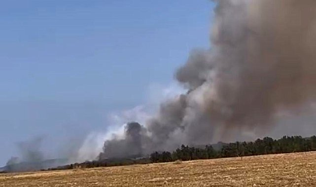 Bursa'da orman yangını, çok sayıda ekip müdahale ediyor