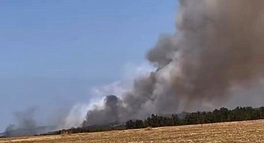Bursa'da orman yangını, çok sayıda ekip müdahale ediyor