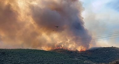 Bursa'da orman yangınıyla amansız mücadele sürüyor