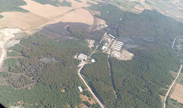 Bursa'da yanan alanlar hızla yeşillendirilecek