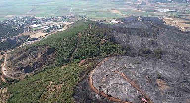 Bursa'da yanan ormandan geriye gri görüntü kaldı