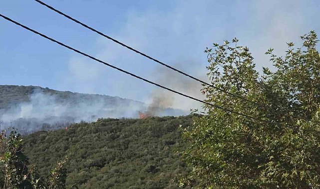 Bursa'daki orman yangını kontrol altına alındı