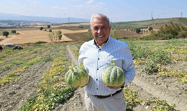 Bursa'nın ünlü Konaklı kavununda üretim iki kat arttı