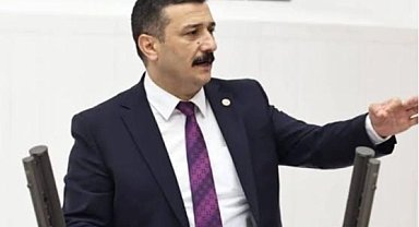 Bursa'nın "doğa incisi Longoz" neden kaderine terk edildi?