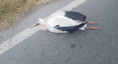 Büyükçekmece'de leyleklerin çarptığı trafoda yangın
