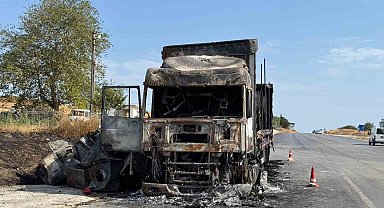 Çamaşır makinesi yüklü tır alev topuna döndü