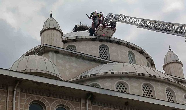 Cami kubbesinde mahsur kalan leyleği itfaiye kurtardı
