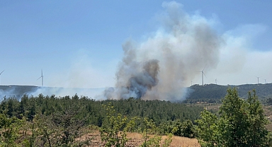 Çanakkale'de yeniden orman yangını çıktı
