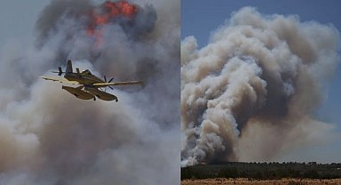 Çanakkale yeniden yanıyor! Tahliyeler yapıldı