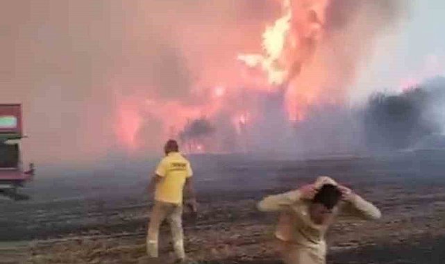 Çanakkale'de alev savaşçılarının zorlu mücadelesi kamerada