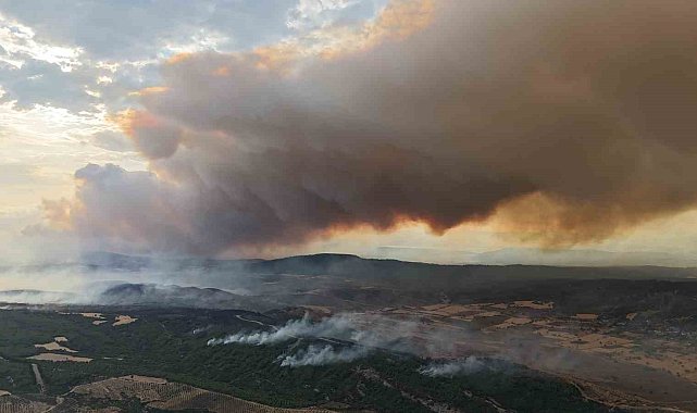 Çanakkale'de devam eden yangın nedeniyle Tarihi Alan'ın kuzey hattı geçici süreyle kapatıldı