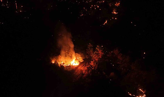 Çanakkale'de gece saatlerinde çıkan orman yangını kontrol altına alındı