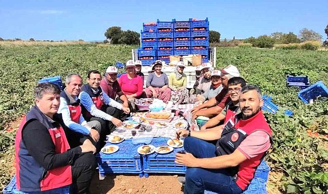 Çanakkale'de İl Tarım Müdürlüğünden üreticilere domates hasadı ziyareti