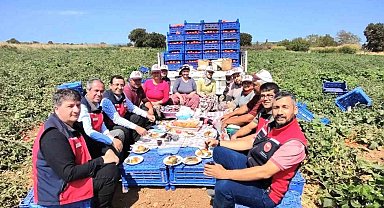 Çanakkale'de İl Tarım Müdürlüğünden üreticilere domates hasadı ziyareti