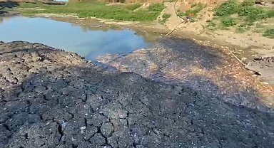 Çanakkale'de Kocabaş Çayı alarm verdi, toplu balık ölümleri yaşandı