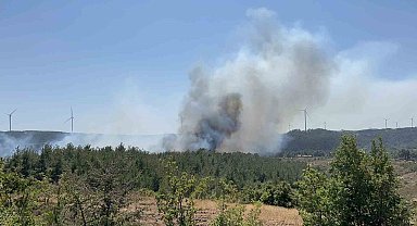 Çanakkale'de orman yangını