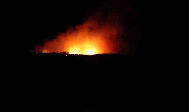 Çanakkale'de orman yangını