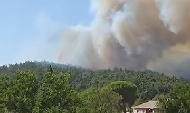 Çanakkale'de orman yangını