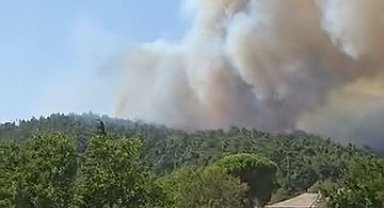 Çanakkale'de orman yangını