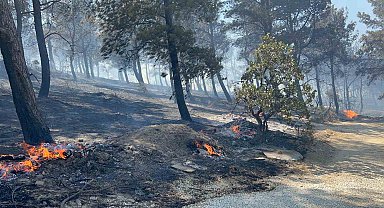 Çanakkale'de ormanlık alana sıçrayan yangında villalar yandı
