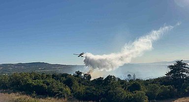 Çanakkale'de tarım arazisinde başlayarak ormanlık alana sıçrayan yangın kontrol altına alındı