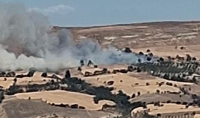 Çanakkale'de tarım arazisinde yangın