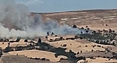 Çanakkale'de tarım arazisinde yangın