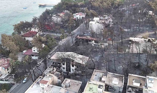 Çanakkale'de yanan orman alanlarında 2024-2025 av döneminde avlanmak yasaklandı