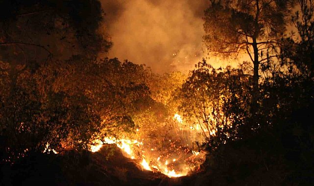 Çanakkale'de yangın etkisini sürdürüyor... Ekiplerin müdahalesi gece de sürüyor