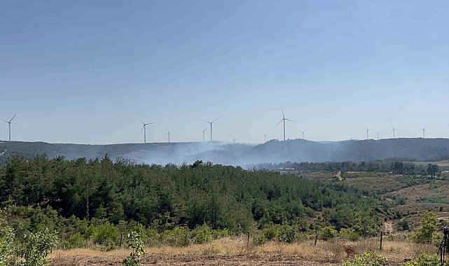 Çanakkale'deki orman yangını kontrol altında