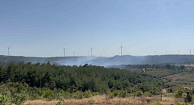 Çanakkale'deki orman yangını kontrol altında