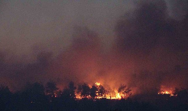 Çanakkale'deki orman yangınına karadan müdahale devam ediyor
