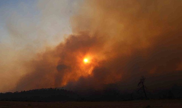 Çanakkale'deki yangında 126 vatandaş tahliye edildi