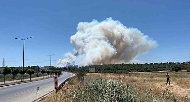 Çanakkale'deki yangında tedbir amaçlı Güzelyalı bölgesindeki vatandaşlar tahliye ediliyor