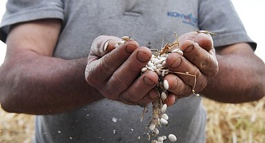 Çandır fasulyesi için coğrafi işaret başvurusu yapıldı