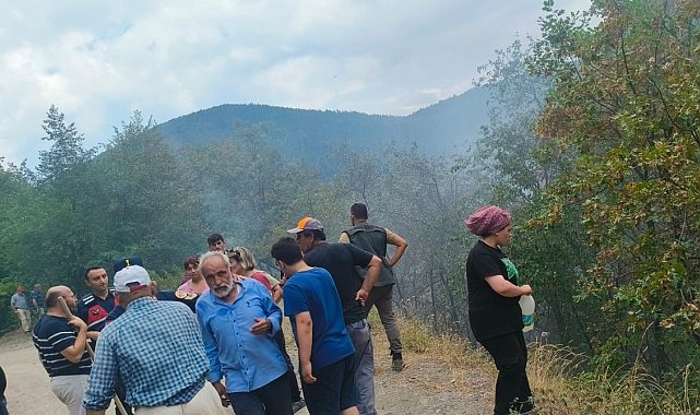 Çatalzeytin'de çıkan orman yangını kontrol altına alındı