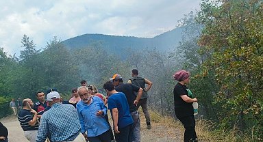 Çatalzeytin'de çıkan orman yangını kontrol altına alındı