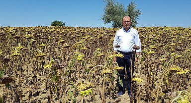 CHP Tekirdağ Milletvekili Aygun'dan kuraklık için yasa teklifi