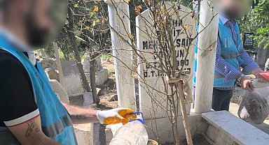 Cizre'de denetimli serbestlik yükümlüleri şehit kabirlerini temizledi