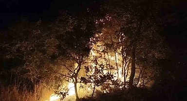 Çöplükte başlayan yangın araziye sıçradı