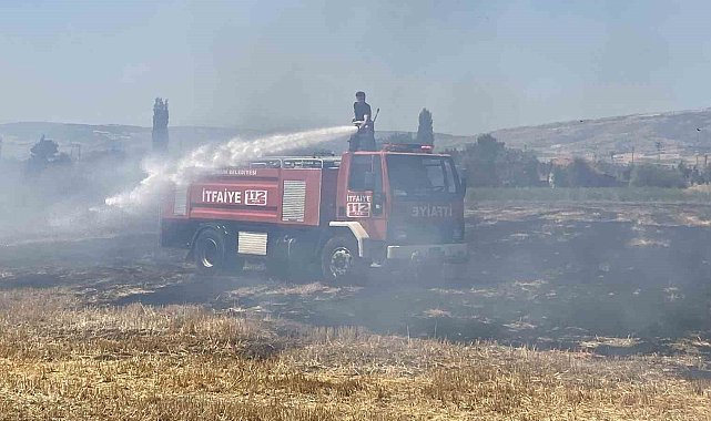 Çorum'da tarlada çıkan anız yangını söndürüldü