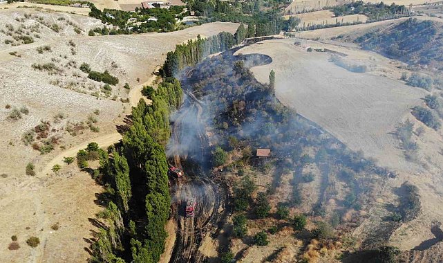 Çorum'da tarlada çıkan yangın kontrol altına alındı, 1 kişi yaralandı