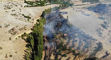 Çorum'da tarlada çıkan yangın kontrol altına alındı, 1 kişi yaralandı