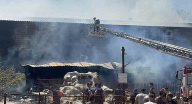 Darıca'da fabrika yangını: 3 işletme hasar aldı