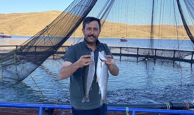 Demirözü Göletinde yetişen Alabalıklar Somon oldu