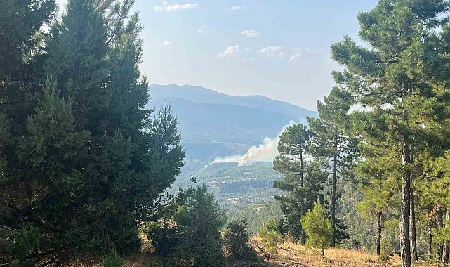 Denizli'de orman yangını