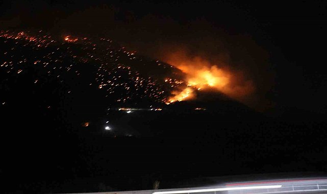 Denizli'de orman yangınına gece karadan müdahale sürüyor